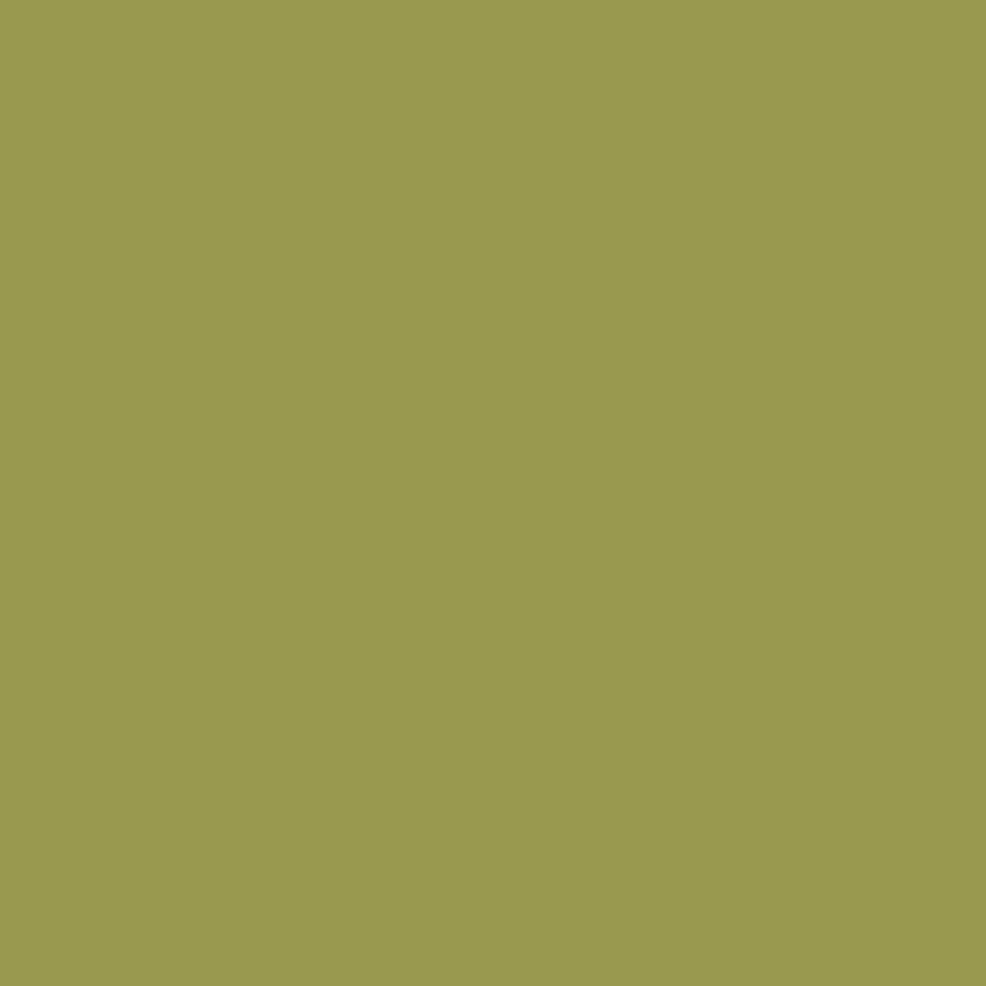 RAL 1020 Olive Yellow