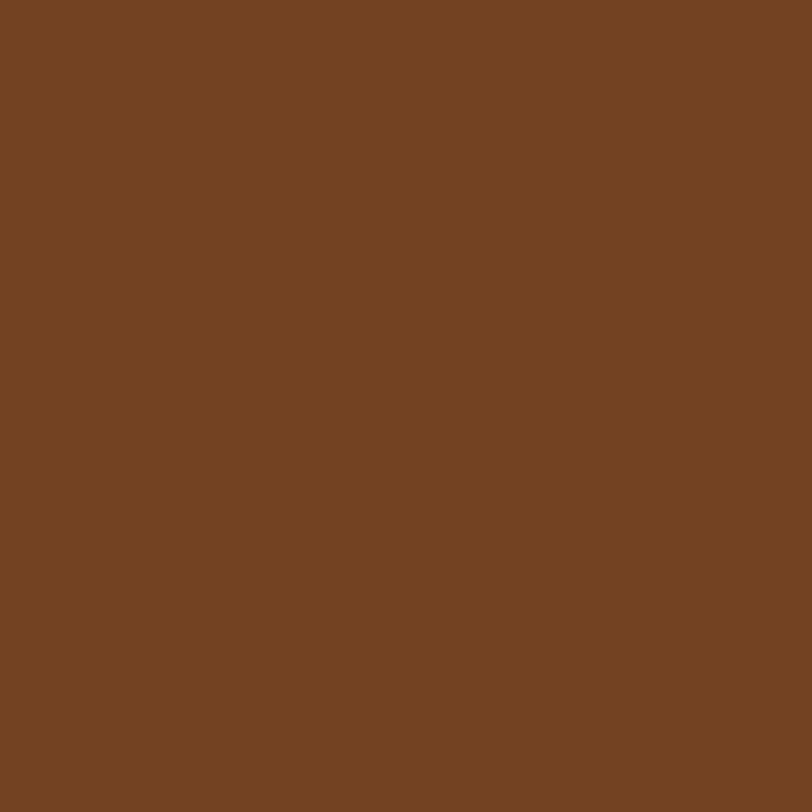RAL-8003-Clay-Brown.jpg?v=